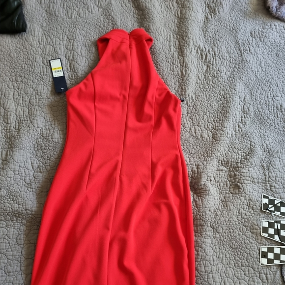 Dress - Picture 4 of 5